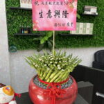 越式洗髮spa店開幕盆栽