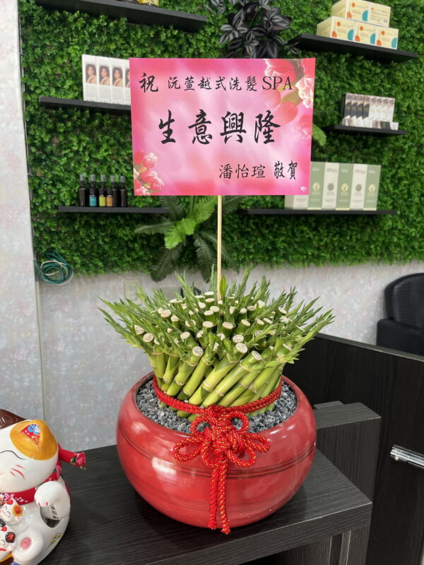 越式洗髮spa店開幕盆栽