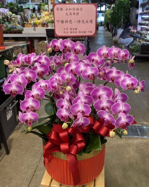 還願蘭花