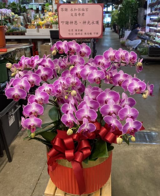 還願蘭花