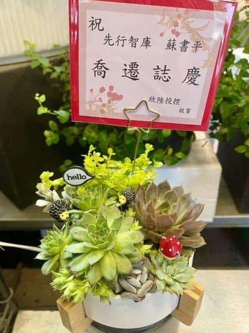 喬遷賀禮盆栽