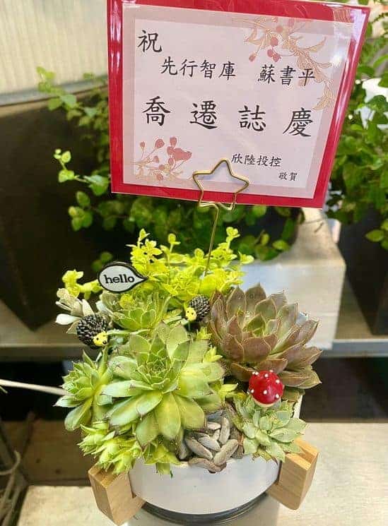 喬遷賀禮盆栽