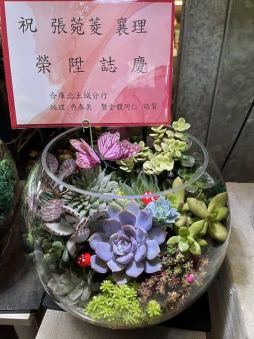 多肉玻璃球盆栽