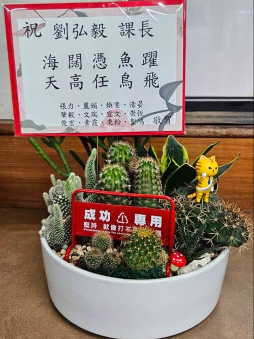 榮任課長盆栽