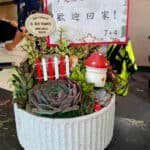 歡迎同事長官迎賓盆栽