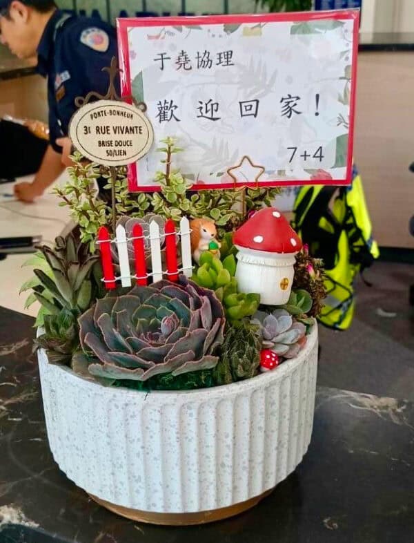 歡迎同事長官迎賓盆栽