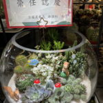 空服員送禮盆栽