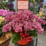 臺灣省城隍廟還願蘭花