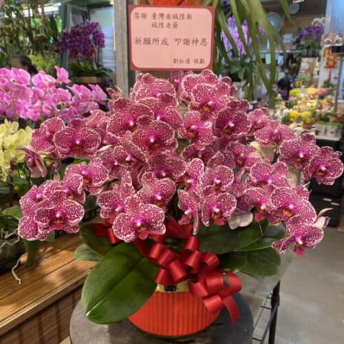 臺灣省城隍廟還願蘭花