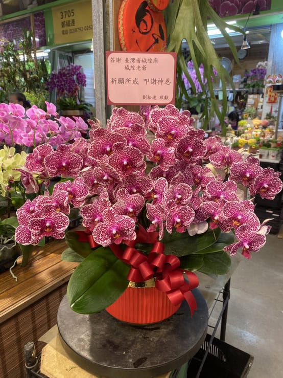 臺灣省城隍廟還願蘭花