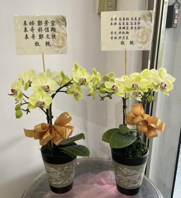 表弟表哥堂弟堂哥告別式蘭花