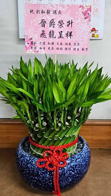 課長榮陞送開運竹
