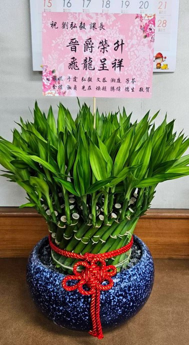 課長榮陞送開運竹