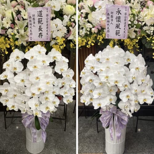 追思告別式蝴蝶蘭花jpg