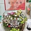 銀行送禮盆栽