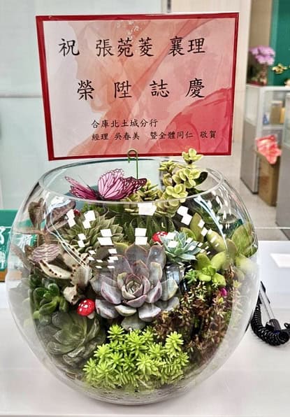 銀行送禮盆栽