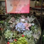 公務人員榮任