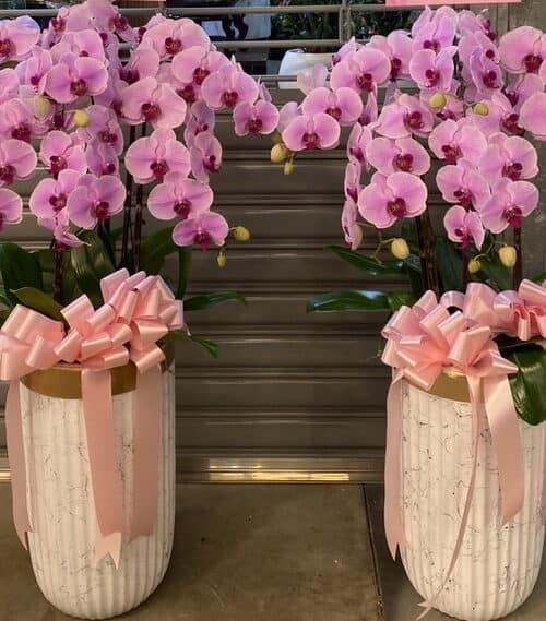 告別式安靈粉色蘭花一對