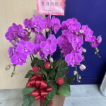 大哥生日快樂蘭花