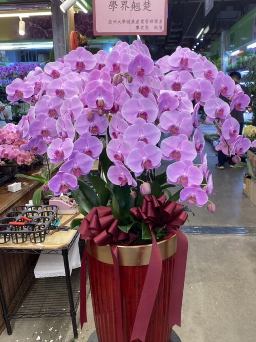 大專院校校長榮任
