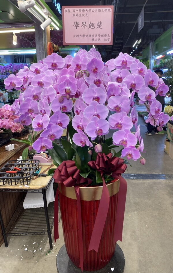 大專院校校長榮任