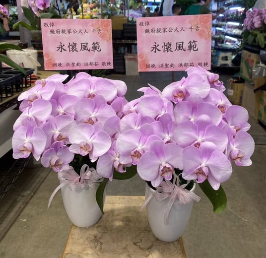 安靈粉色蘭花一對