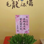 寵物店開幕盆栽