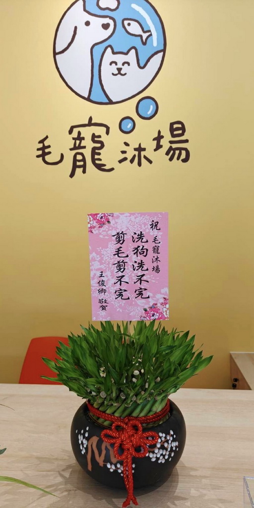 寵物店開幕盆栽