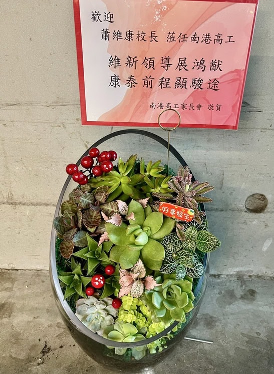 校長榮陞多肉植物