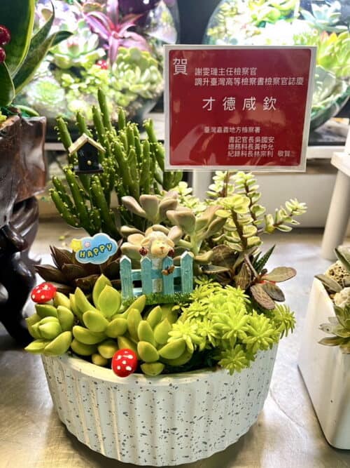 榮陞檢察官盆栽