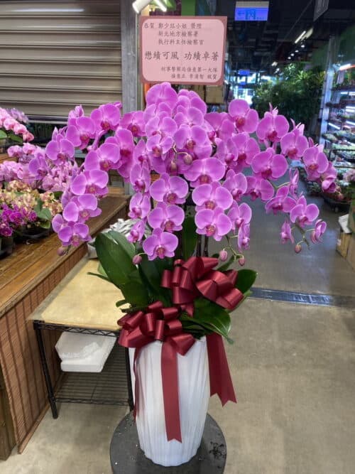 榮陞檢察官蘭花賀禮jpg