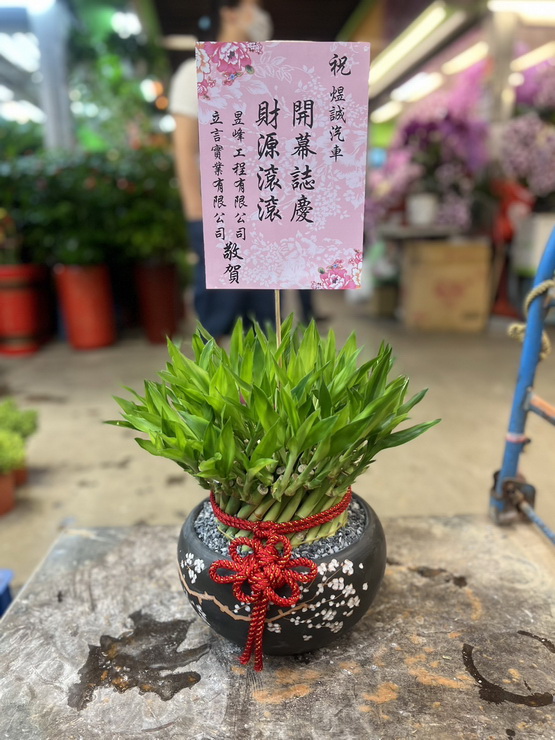 汽車專修店開幕盆栽
