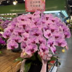 生日花禮蘭花