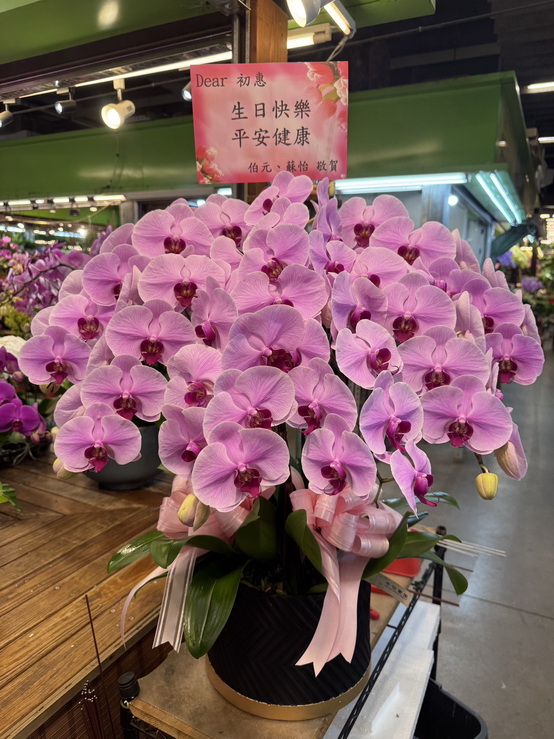 生日花禮蘭花
