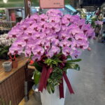 藝術展祝賀蘭花