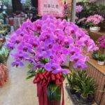 診所開幕蘭花
