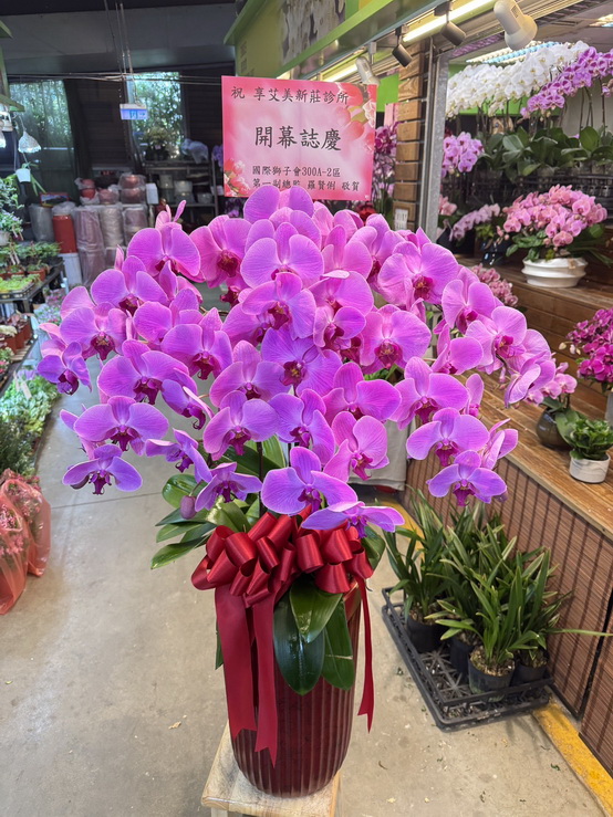 診所開幕蘭花