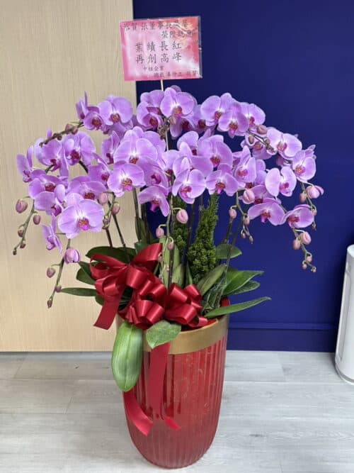 送給董事長祝賀蘭花