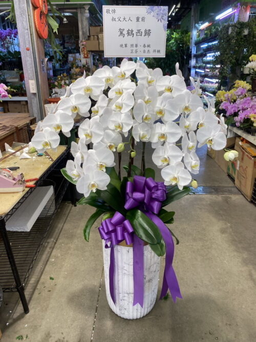 麗緻會館安靈蘭花