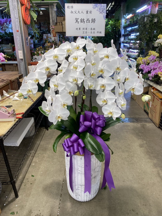 麗緻會館安靈蘭花