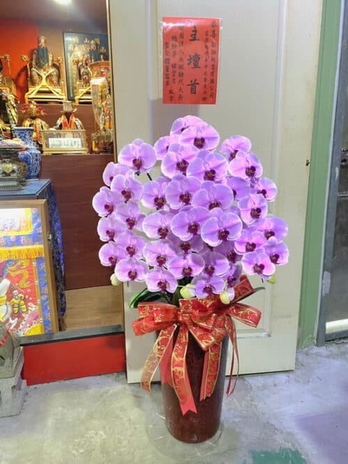 宮廟聯誼送禮蘭花