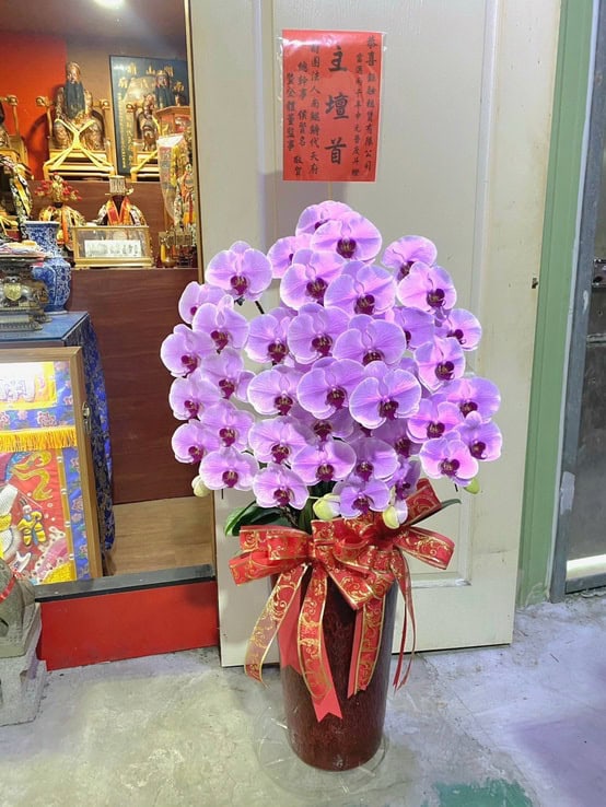 宮廟聯誼送禮蘭花
