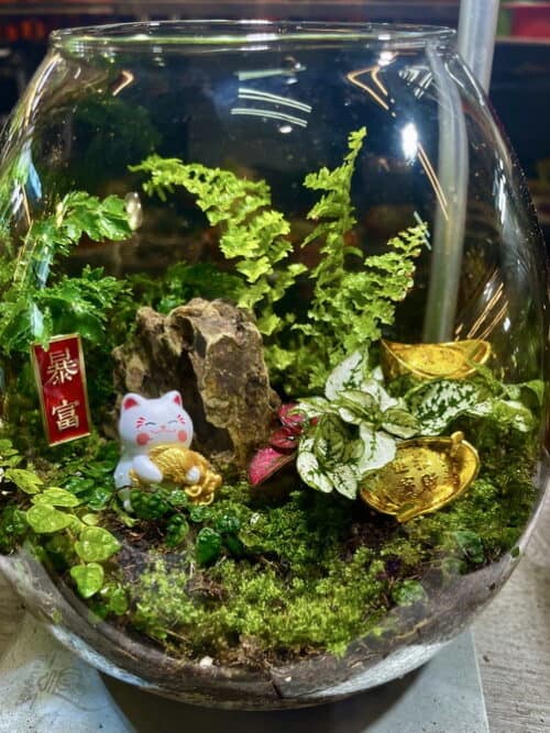 招財貓暴富生態瓶