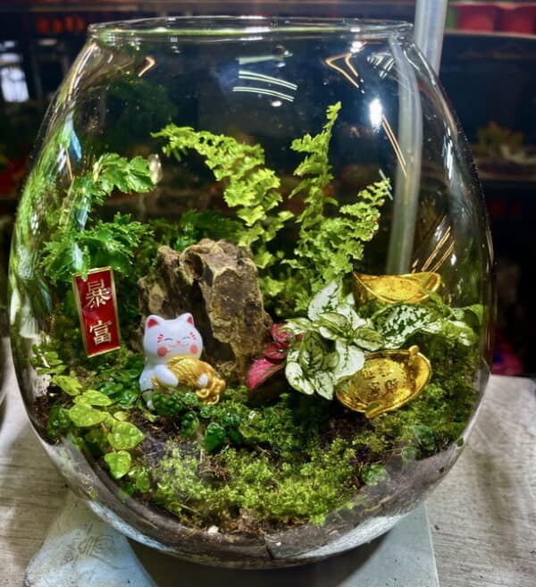 招財貓暴富生態瓶