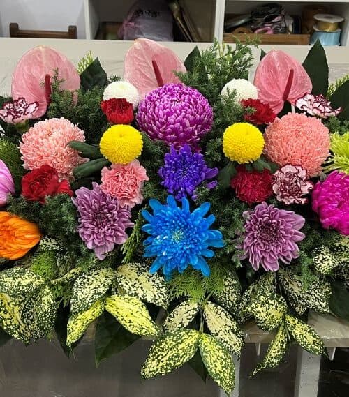 拜拜祝壽盆花