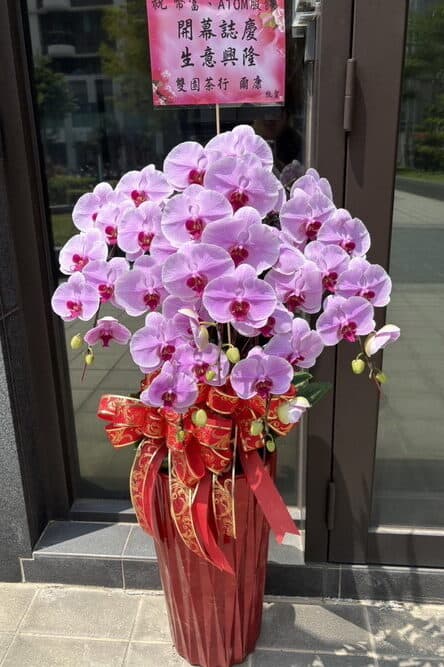 茶行開幕蘭花一盆