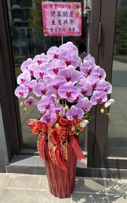 茶行開幕蘭花一盆