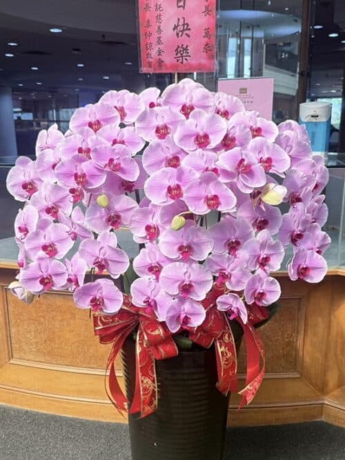 董事長生日蘭花一盆jpg