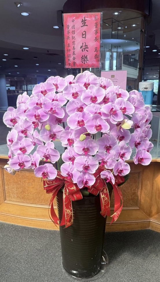 董事長生日蘭花一盆jpg