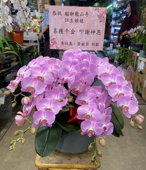 答謝艋舺龍山寺註生娘娘蘭花